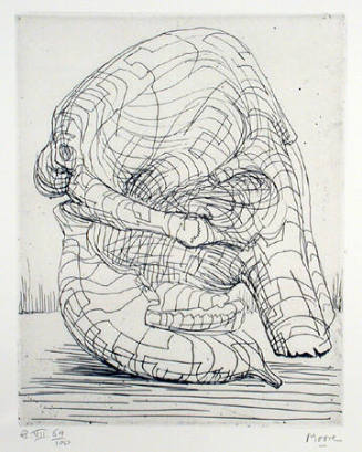 Plate VII: Skull Side View-Eye Sockets and Tusk Holes