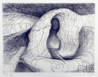 Plate VIII: It Became in My Mind The Arm of A Reclining Figure