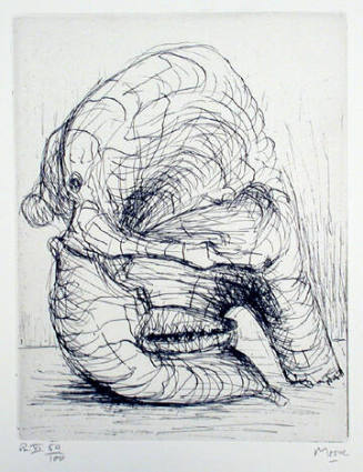 Plate XI: Skull Side View-Jaw Articulation