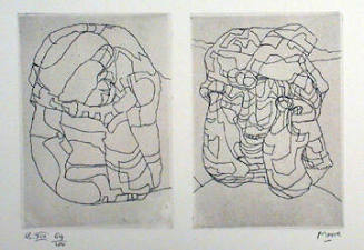 Plate XIII: Here I Was Searching for the Skull's Internal Structure