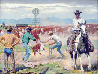 Dragging Calves