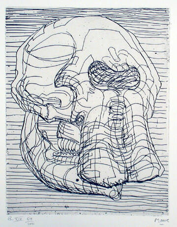 Plate XIV: Though Still Only Line Drawing I Wanted To Show the Skull's Massiveness