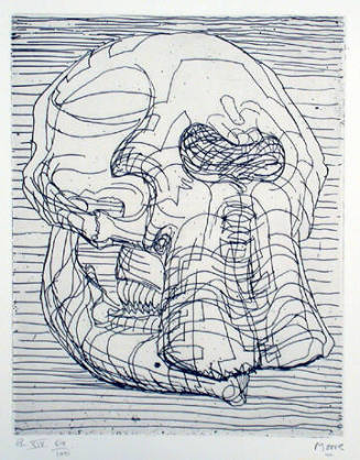 Plate XIV: Though Still Only Line Drawing I Wanted To Show the Skull's Massiveness