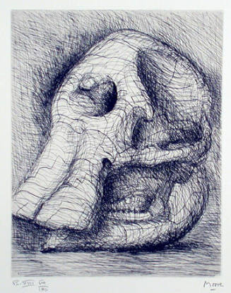 Plate XVII: The Elephant is the Most Remarkable Living Link We Have with the Prehistoric World