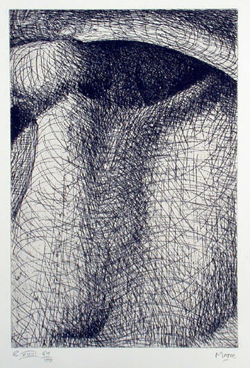 Plate XVIII: Head of a Cyclops