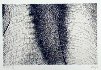 Plate XXIV: View of a Female Back