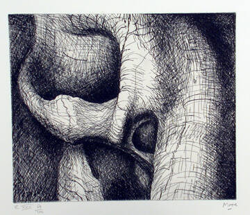 Plate XXV: Two Interlocking Figures