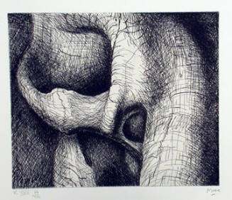 Plate XXV: Two Interlocking Figures