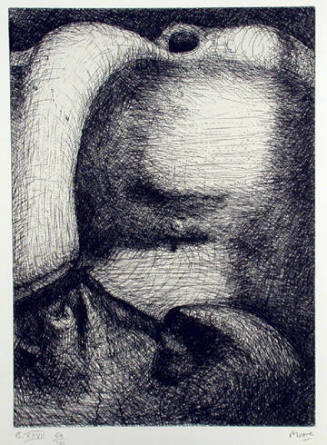 Plate XXVII: View of Male Torso