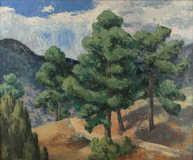 Pines at Arroyo Hondo