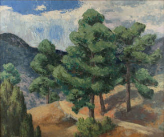 Pines at Arroyo Hondo