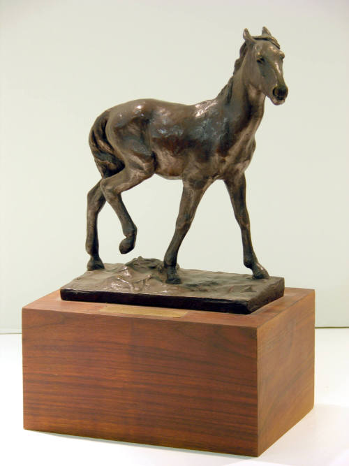 Pony with Ears Back