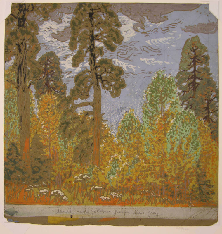 Pine and Aspen
