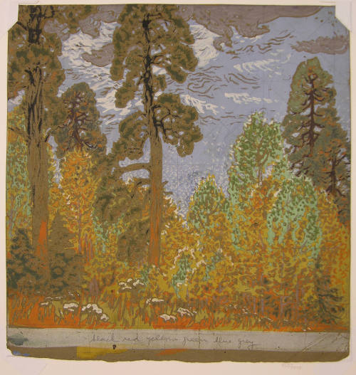 Pine and Aspen