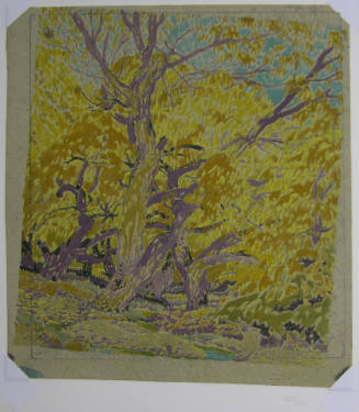 Cottonwoods