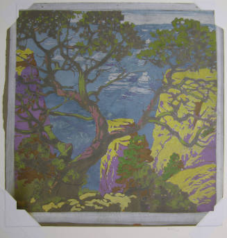 Pinon-Grand Canyon (study)