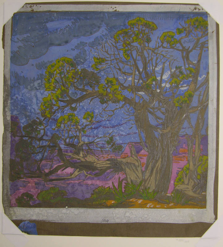 Cedar - Grand Canyon (study)