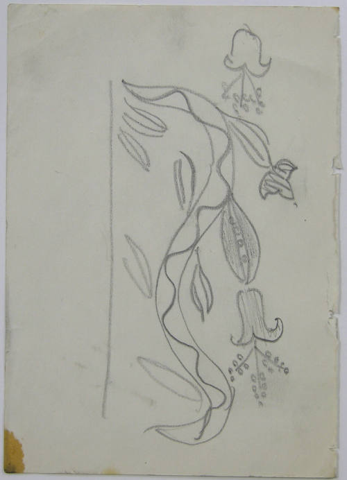 Flower Sketch