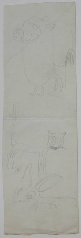 Animal Sketch