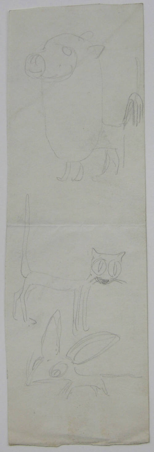 Animal Sketch