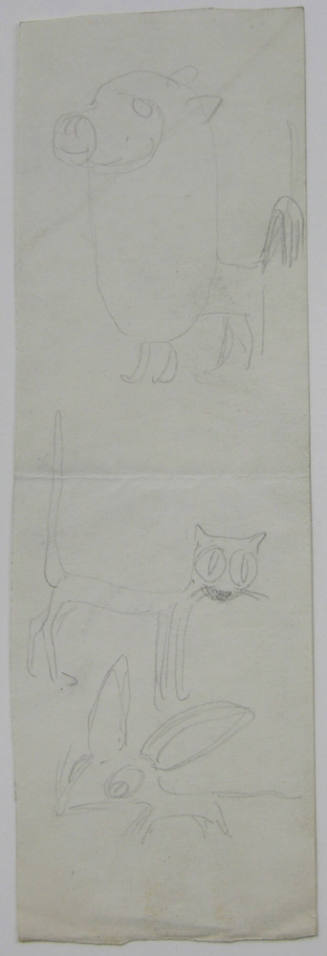 Animal Sketch