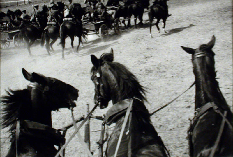 Cavalry Maneuvers