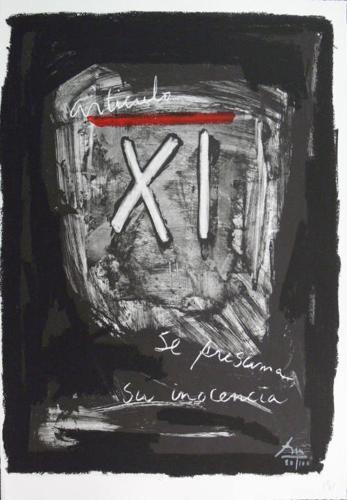 Articula 11 (from the series Declaración Universal de Derechos Humanos)