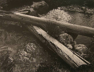 Brook, Aspen Basin, New Mexico 1949
