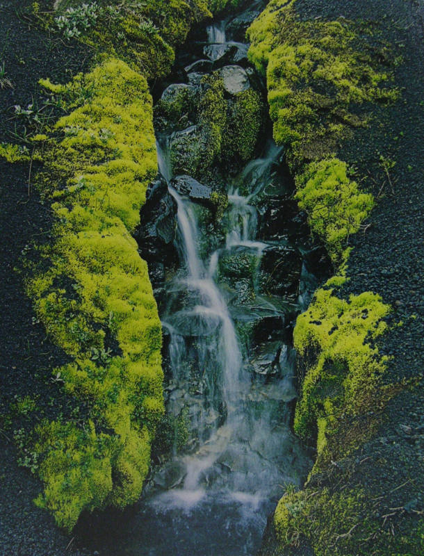 Moss, Waterfall, Cinders near Mount Hekla, Iceland – Works – eMuseum