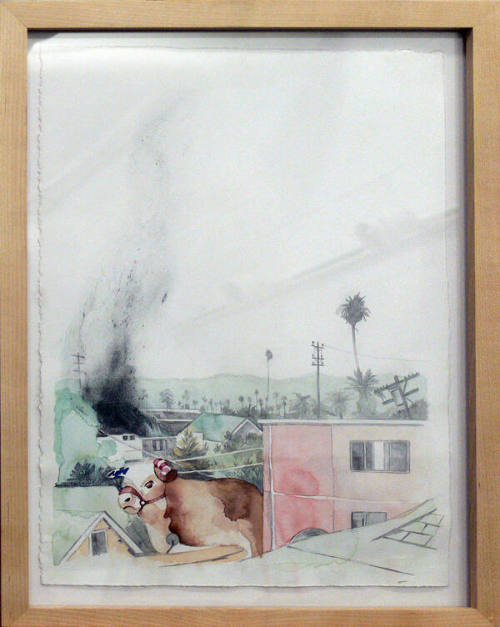 House on Fire: American Steer