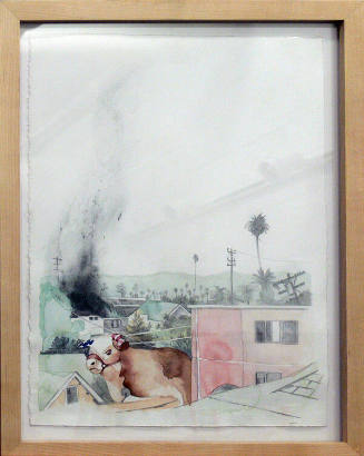 House on Fire: American Steer
