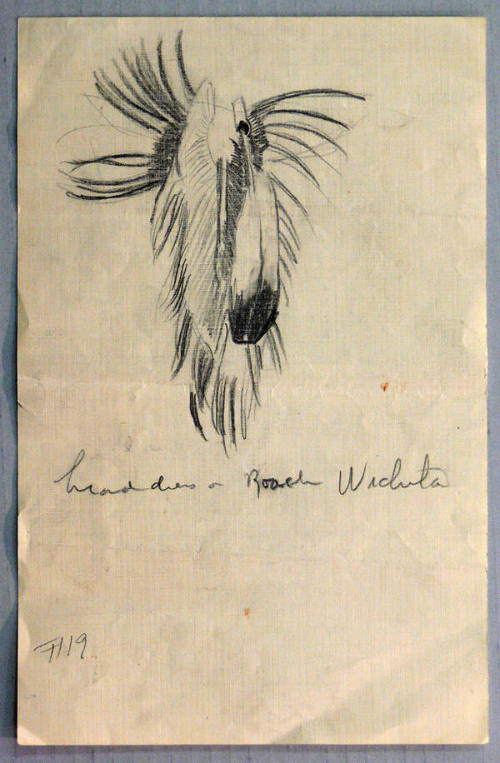 Indians of Middle West for Murals of Missouri State Capital - Headdress