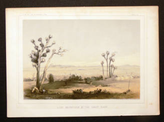 Lost Mountians in the Great Basin