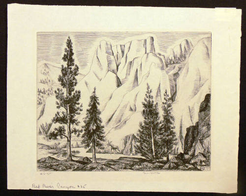 Red River Canyon (6/25)