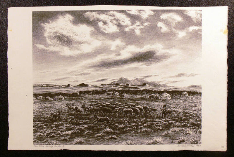 The Little Navajo Shepherd