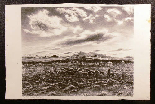 The Little Navajo Shepherd