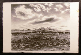 The Little Navajo Shepherd