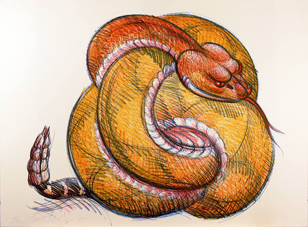 Ball Rattlesnake