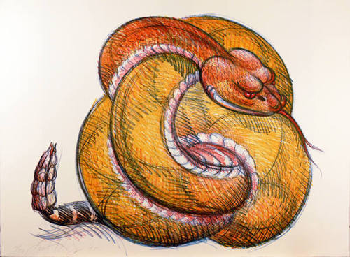 Ball Rattlesnake