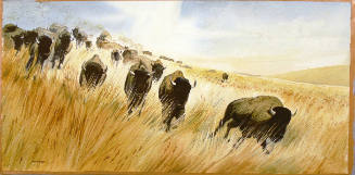 Prairie Thunder